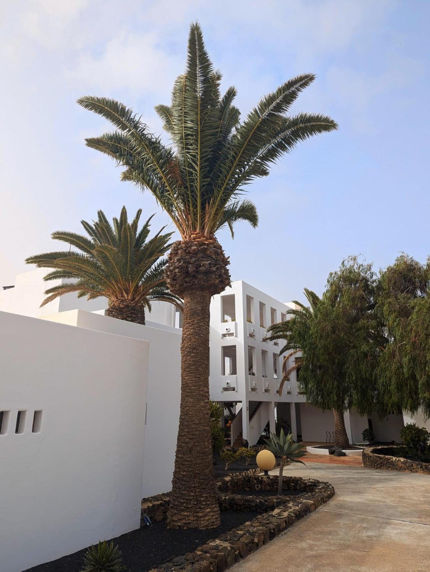 Charming Flat In Los Molinos With Terrace & Pools, Near Playa Bastian Коста-Тегісе Екстер'єр фото